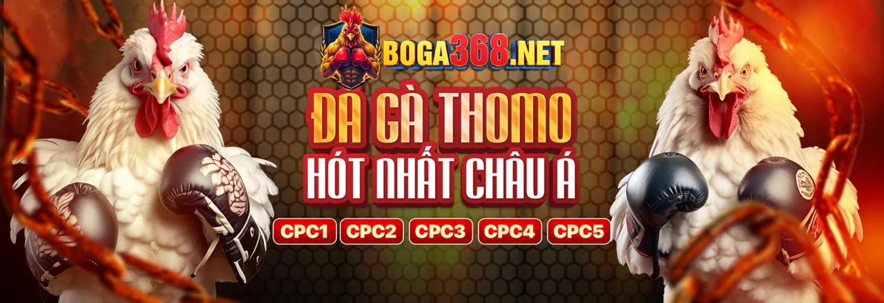 Chương trình VIP và phần thưởng đặc biệt