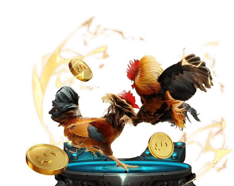 Hỗ trợ tiếp thị chuyên nghiệp